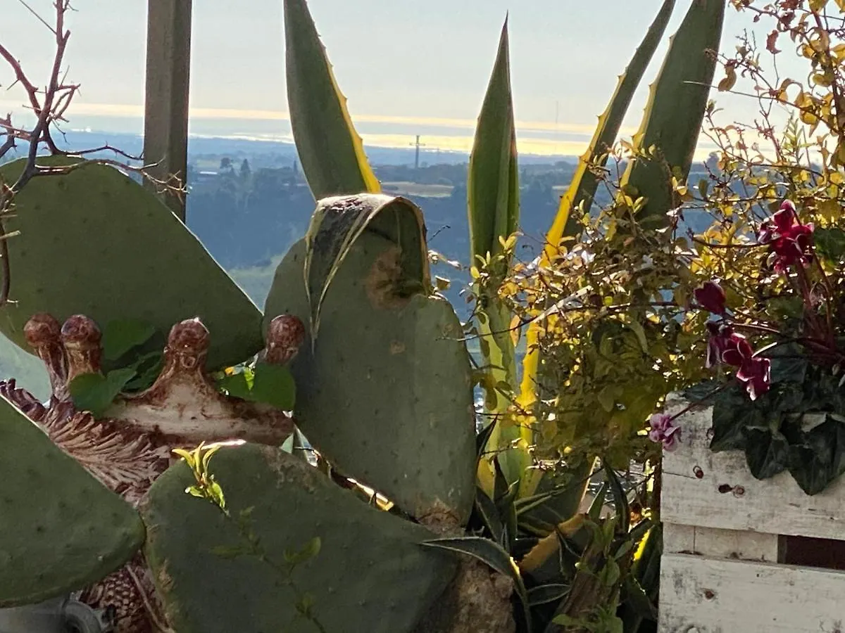 Bed & Breakfast Casa Tipica Siciliana: Panoramic Terrace B&B Caltagirone